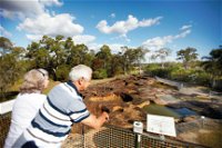 Mystery Craters - Attractions Brisbane