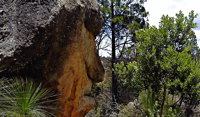 Mystery Face Walking Track - QLD Tourism