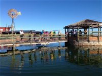 Ocean Park Aquarium - Accommodation in Bendigo