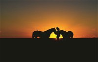 Outback Pony Rides Farm Experience - Accommodation Gold Coast