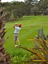 Pambula Merimbula Golf Club - Accommodation Redcliffe