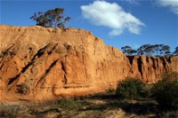 Red Banks Conservation Park - Attractions