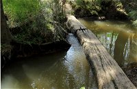 Second Ponds Creek Walk - Redcliffe Tourism