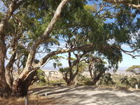 Spring Gully Conservation Park - QLD Tourism