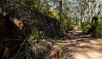 Starlights Trail - New South Wales Tourism 