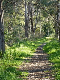 Stoodley Forest Walk and Arboretum - Accommodation Kalgoorlie