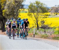 The Heron's Highway - Avon River Cycle Trail - Accommodation in Bendigo