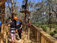 Trees Adventure - Yanchep Park - Tourism Bookings WA