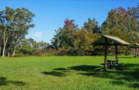 Tunks Hill picnic area - Attractions