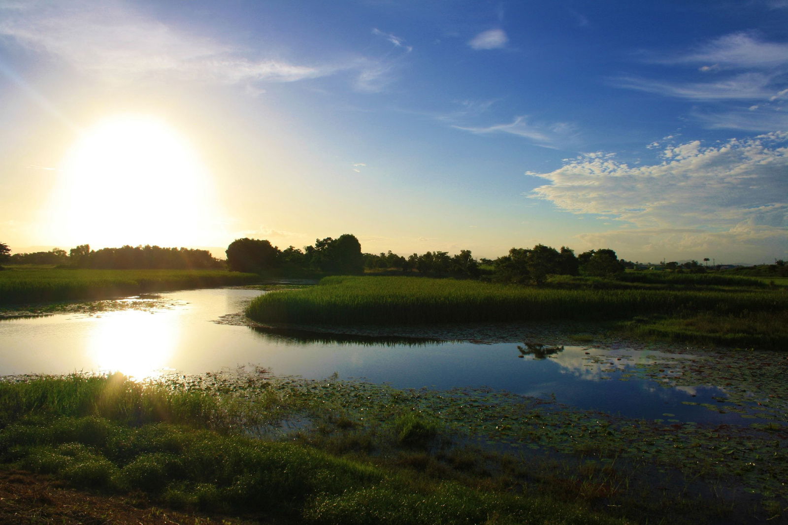 TYTO Wetlands - thumb 0