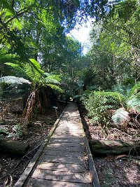 Wirrawilla Rainforest Walk - Tourism Bookings WA