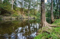 Woko National Park - Accommodation Tasmania