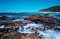 Wyrrabalong National Park - Accommodation Coffs Harbour