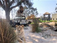 Zambi Wildlife Retreat - Accommodation NT