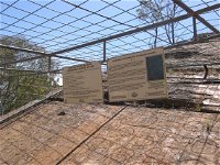 Aboriginal Carvings - Accommodation NT