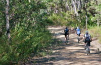 Andersons Trail - Kingaroy Accommodation