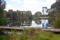 Baldwin Swamp Environmental Park - Tourism Caloundra