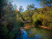 Bargo State Conservation Area - Accommodation Perth