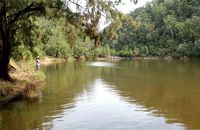 Bents Basin State Conservation Area - Hervey Bay Accommodation