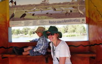 Bird Watching in Narrandera - Broome Tourism