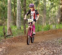 Bom Bom State Forest Mountain Bike Trails - Accommodation in Bendigo