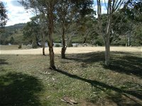 Bombala Platypus Reserve - Attractions Melbourne
