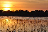 Bool Lagoon Game Reserve and Hacks Lagoon Conservation Park - Accommodation Brunswick Heads
