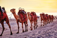 Broome and the Kimberley Coast - Attractions Brisbane