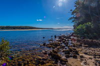 Buckleys Beach - Accommodation Nelson Bay