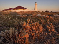 Cape Willoughby Heritage Trail - Accommodation BNB