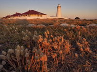 Cape Willoughby Heritage Trail - Accommodation NT