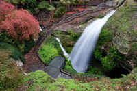 Cave Garden - Attractions Brisbane