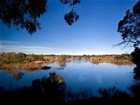 Cecil Hoskins Nature Reserve - Accommodation ACT