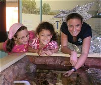 Central Coast Marine Discovery Centre - Attractions Melbourne
