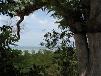 Channel Point Coastal Reserve - QLD Tourism