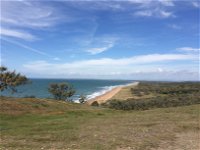 Curtis Island - Great Ocean Road Tourism