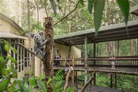 Daisy Hill Koala Centre - Whitsundays Tourism