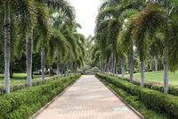 Dan Gleeson Memorial Gardens - Gold Coast Attractions