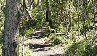 Euglah Rock Walking Track - Attractions Melbourne