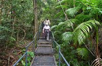 Falls walking track - Accommodation Cooktown