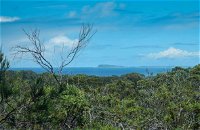 Forest Walking Track Crowdy Bay National Park - Accommodation Gold Coast