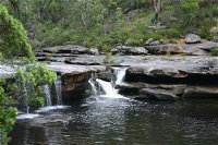 Georges River Nature Reserve - Palm Beach Accommodation