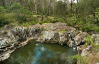 Gorge Walking Track - Attractions Melbourne