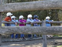 Harlow Park Horse Riding - Gold Coast Attractions