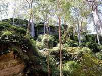 Haunted Point Loop Walk - Mackay Tourism