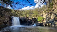 Horton Falls and Walks - Accommodation Sunshine Coast