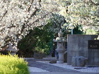 Japanese and Australian War Cemeteries - Accommodation Port Hedland