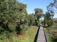 Kepwari Trails Wetland Wonderland - ACT Tourism