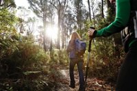 Kinglake National Park - Attractions