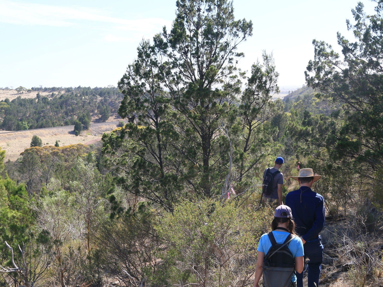 Rocky Gully SA Accommodation Broken Hill